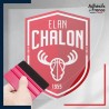 stickers sous film transfert blason basketball - Elan Chalon