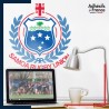 Adhésif grand format logo équipe de Roumanie - Rugby România - Stejar (Les Chênes)