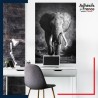 sticker murale décor animaux Eléphant noir et blanc